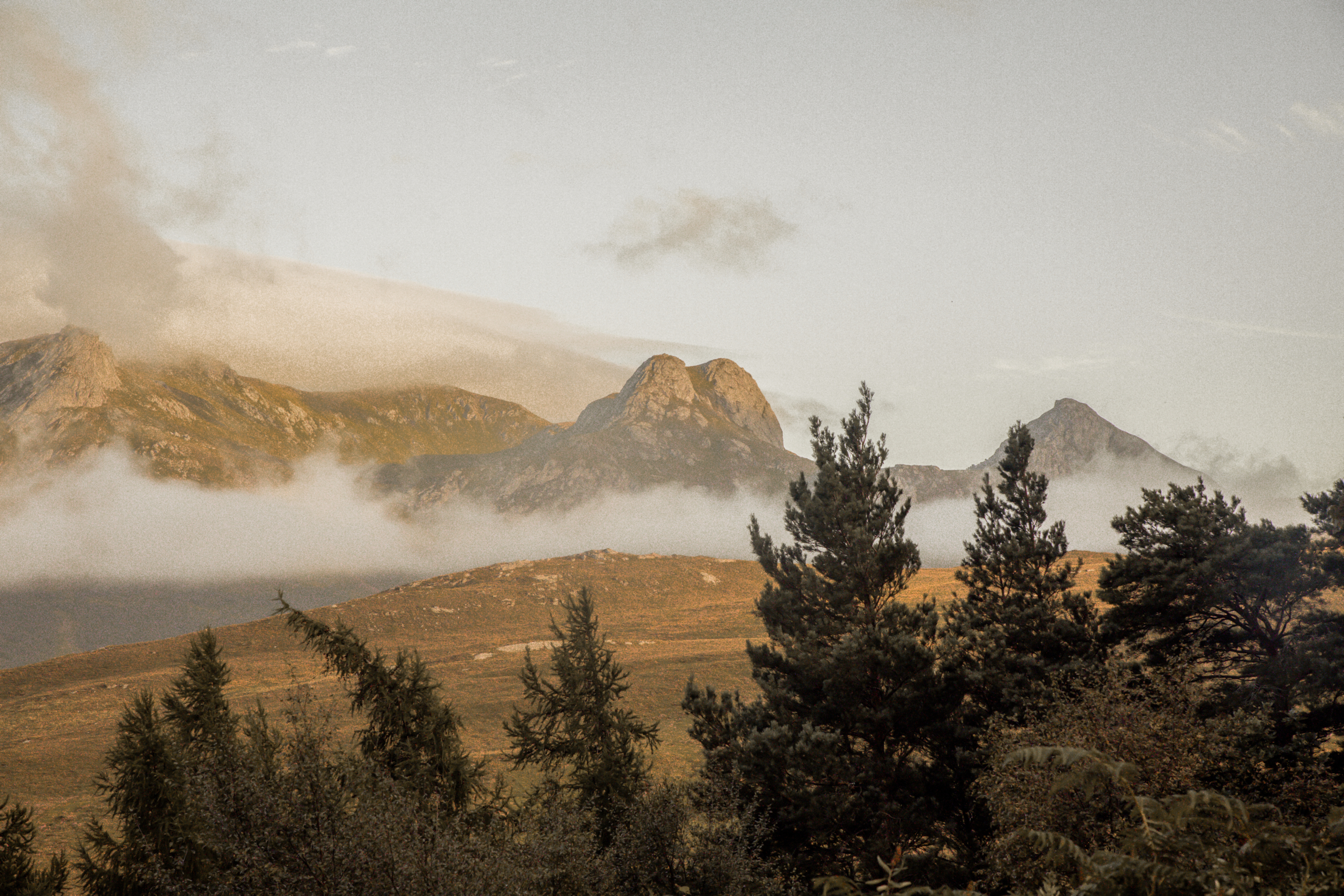 Wildland